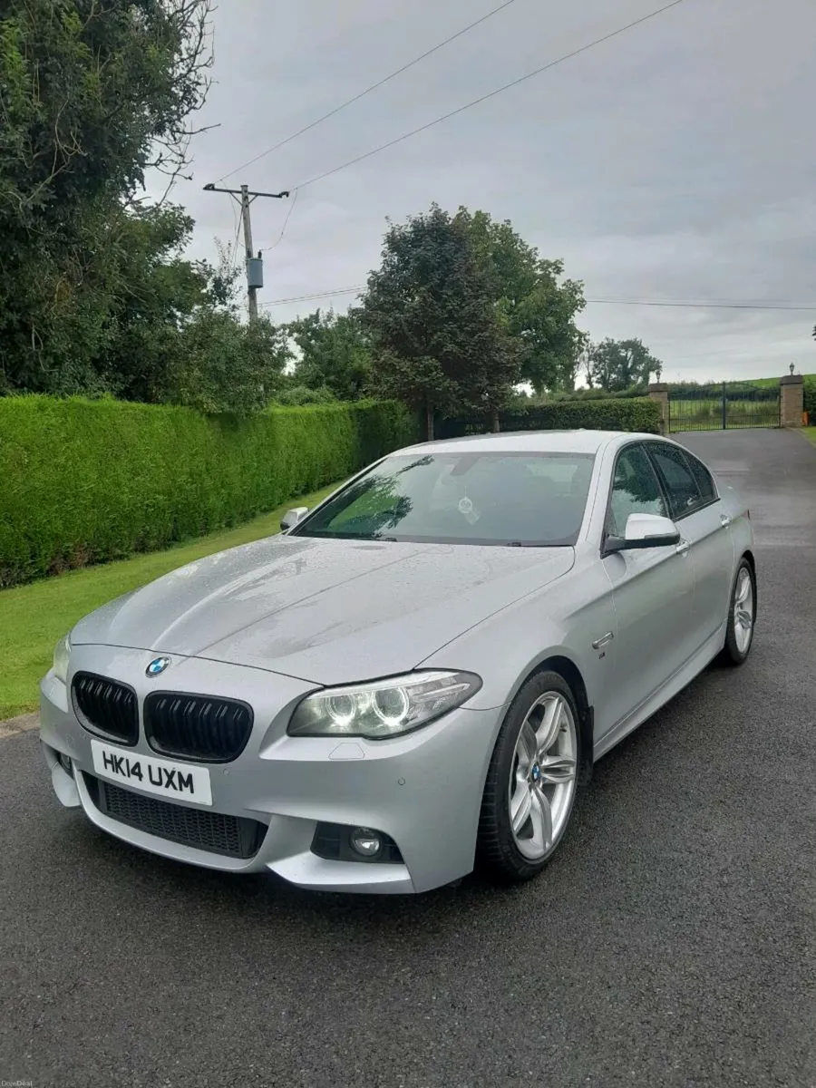 2014 BMW 5 SERIES 530D M SPORT 5DR AUTO - Image 2