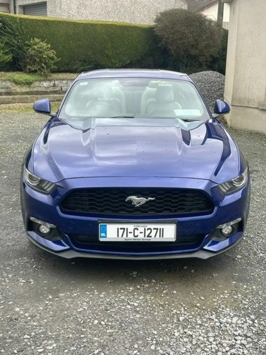 Mustang 2017 - Image 3