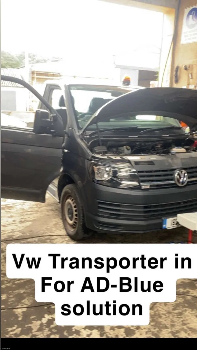 * REMAPPING */DPF & AD BLUE SOLUTIONS - Image 4