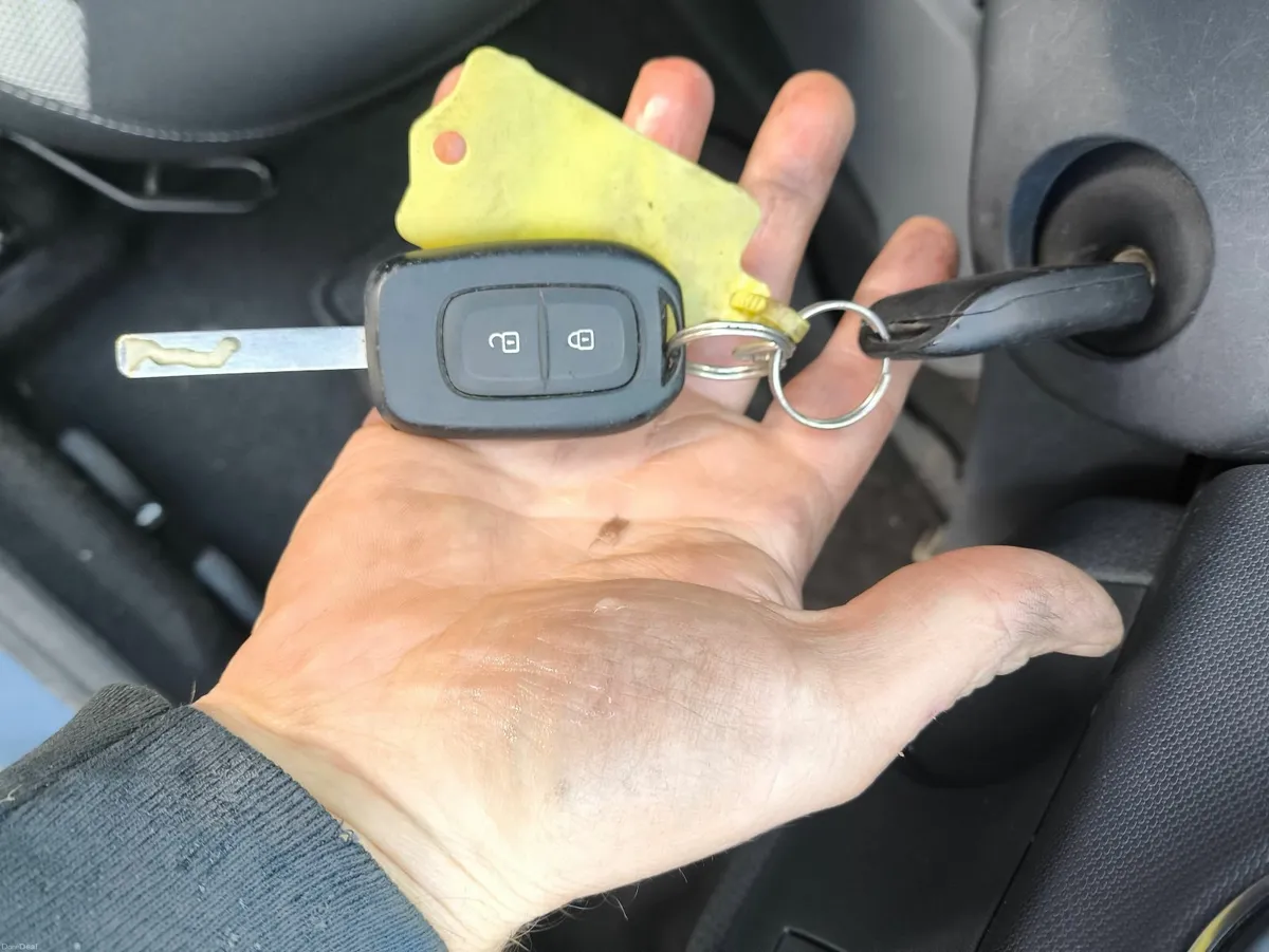 Dacia Sandero Stepway 2020 - Image 4