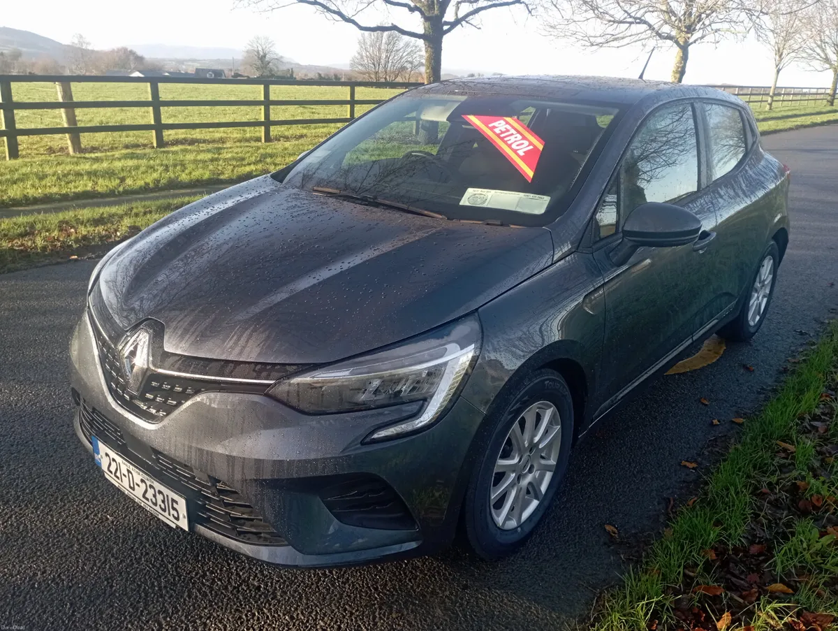 Renault Clio - Image 1