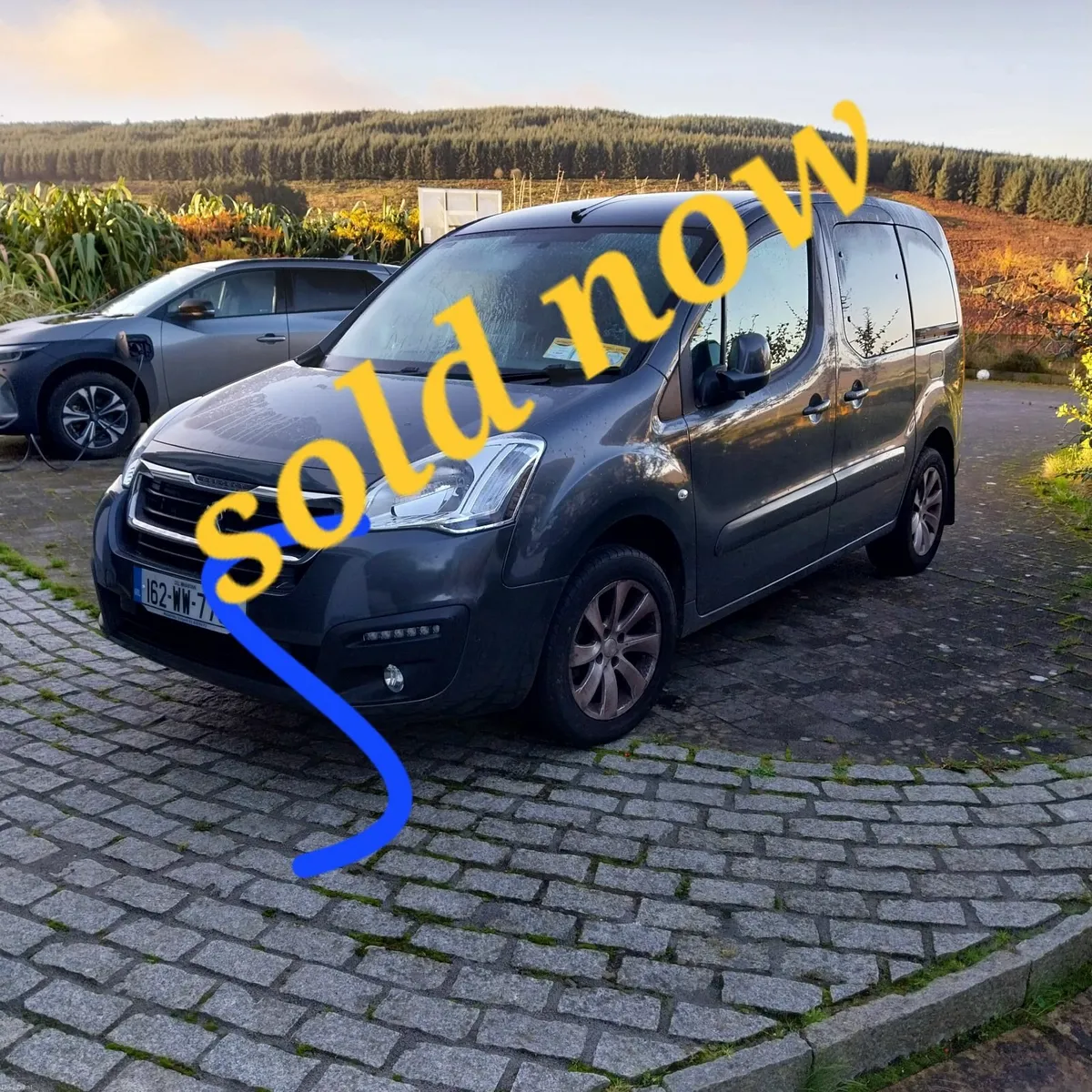 Peugeot Partner Tepee 2016 (price reduced) - Image 1