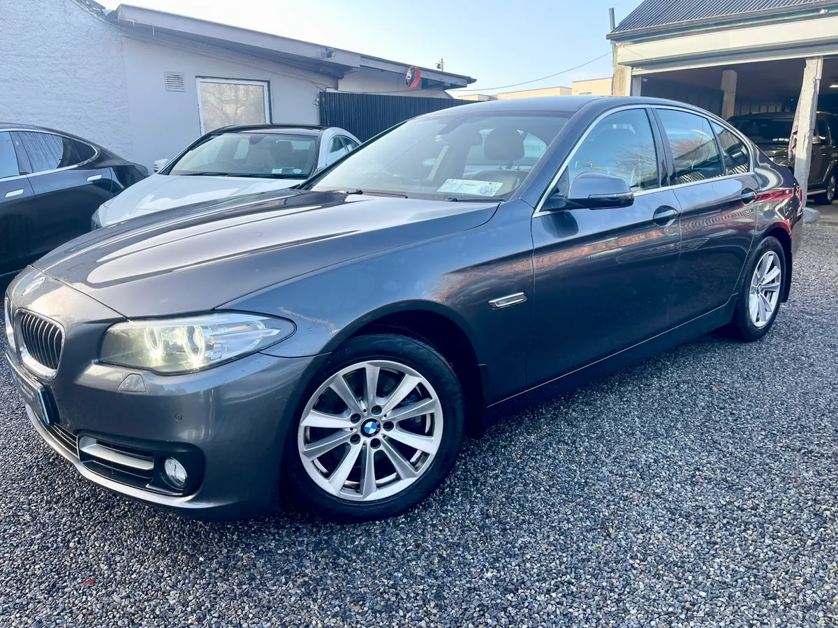 161 BMW 520d SE /Immaculate Condition - Image 3