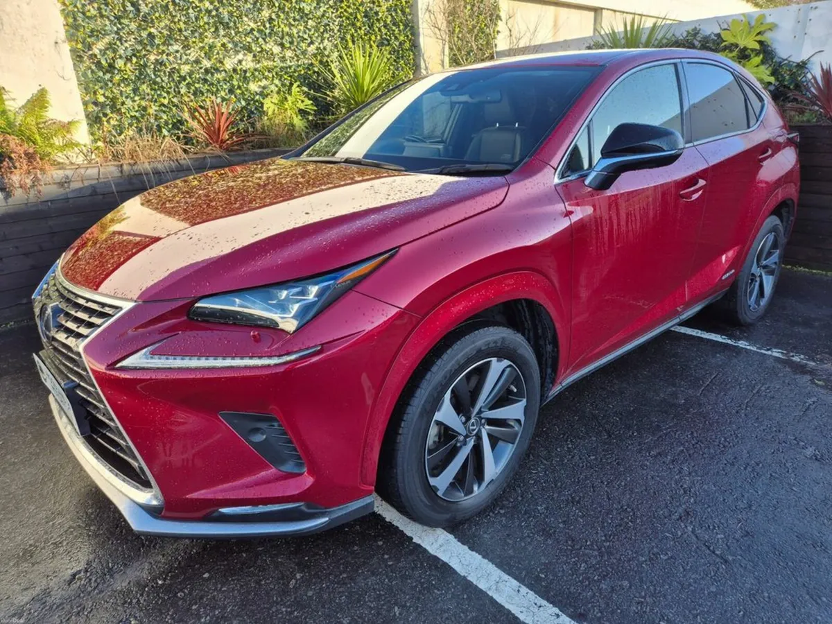 Lexus NX 2.5 HYBRID / LUX SPICE & CHIC EDITION / T - Image 3