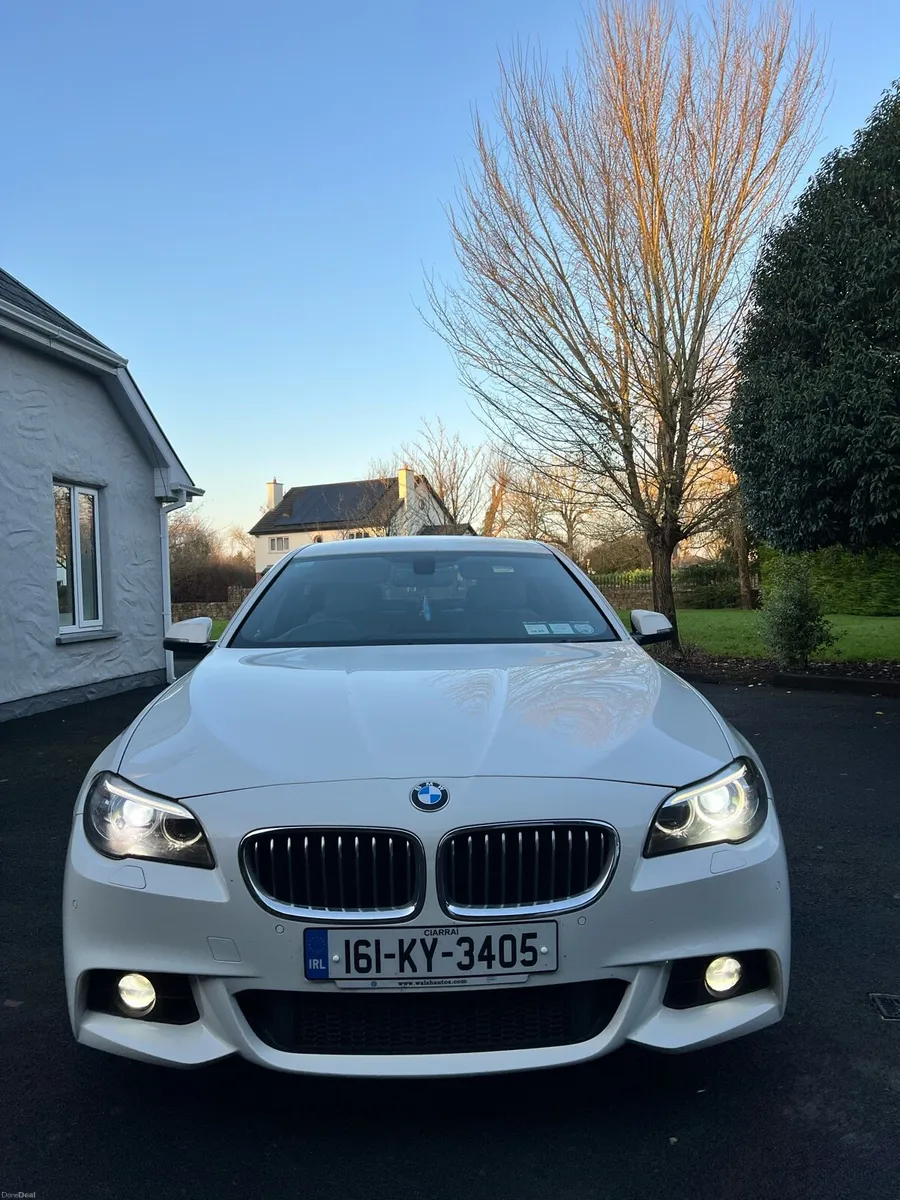 BMW 520d - Image 1