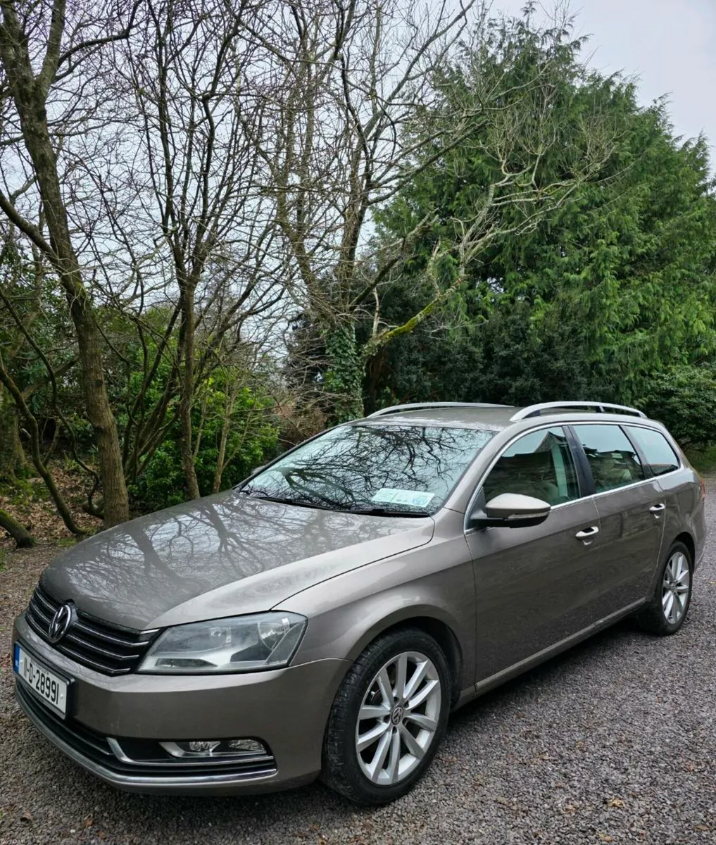 Volkswagen Passat 2.0 - Image 1