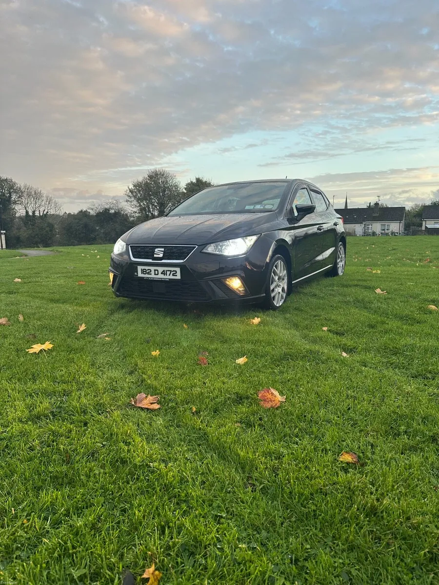 Seat Ibiza - Image 1