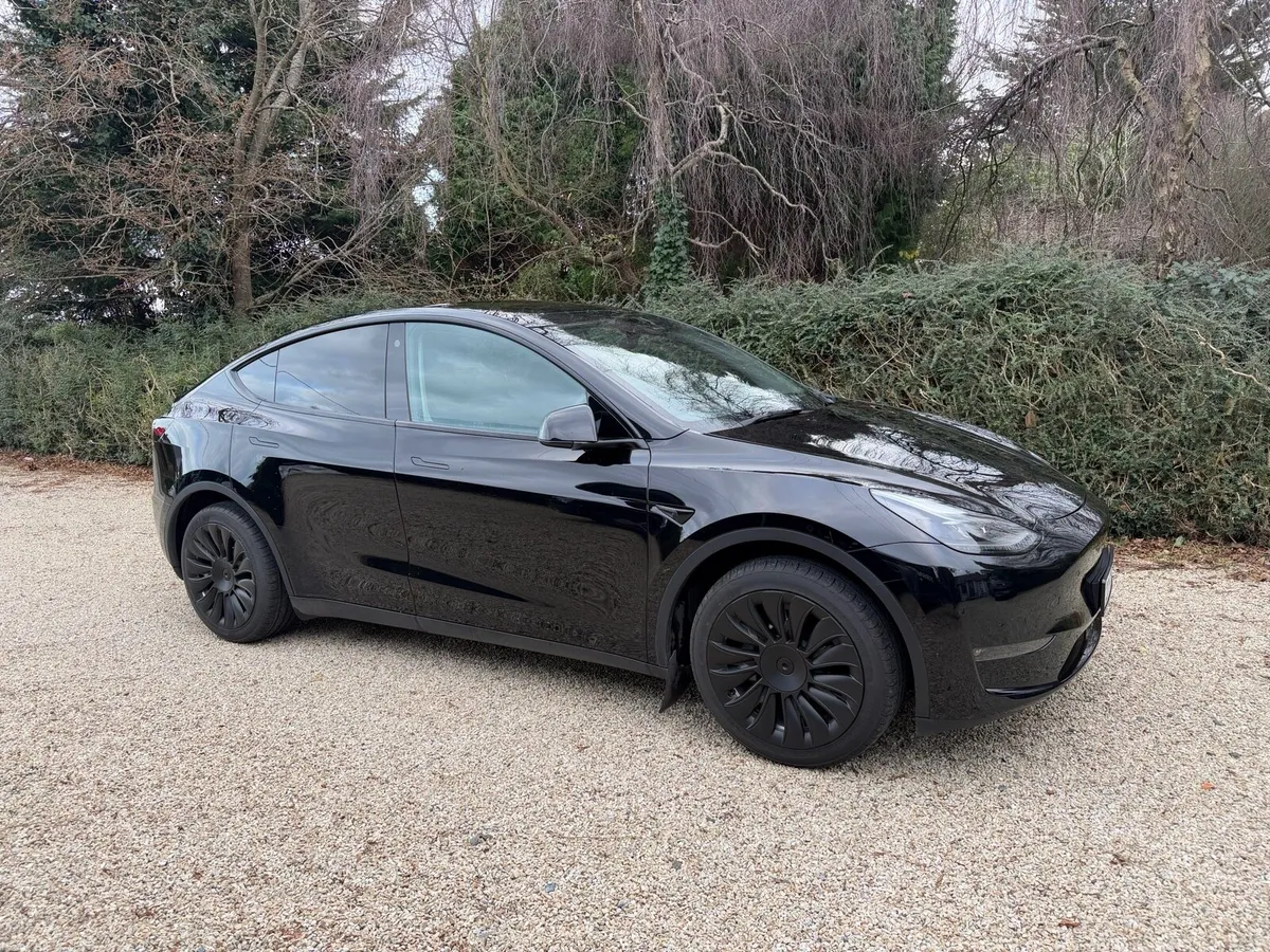 Tesla Model Y Long Range AWD - Image 2