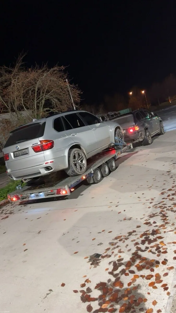 Recovery/transport - Image 2