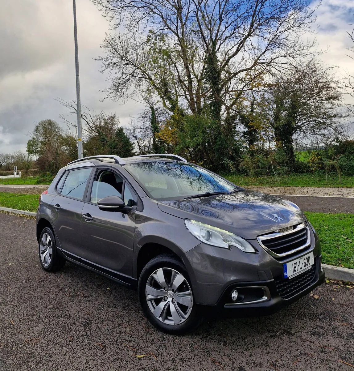 161 Peugeot 2008 1.6 Diesel - Image 1