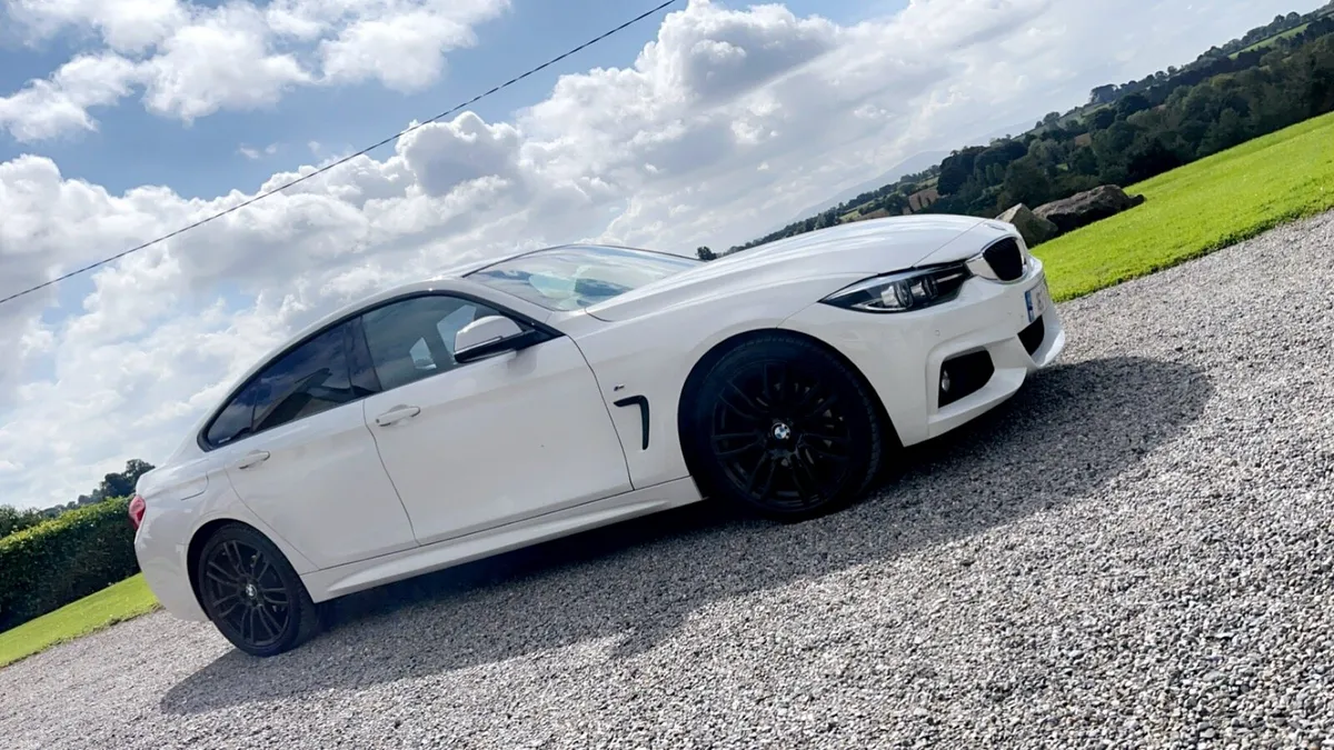 BMW 420D M Sport - Image 1
