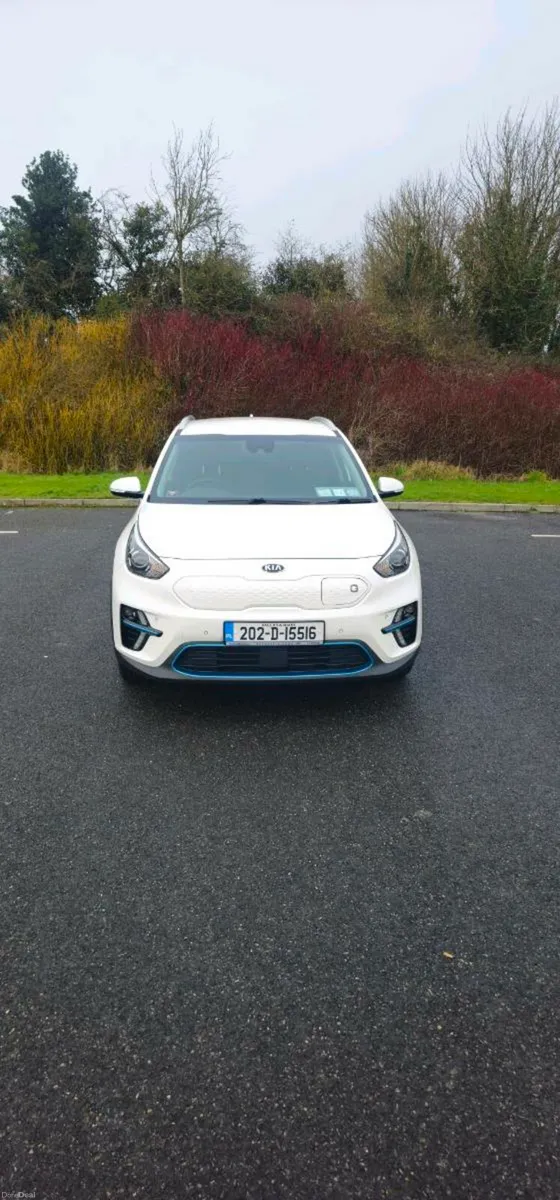 Kia E-Niro - Image 1