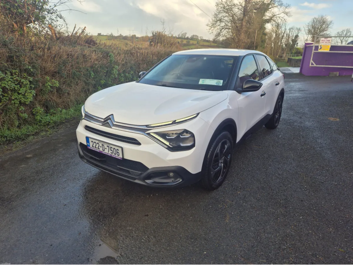 Citroen C4 FEEL BLUEHDI 110 COMMERCIAL MY22. MY22. - Image 1