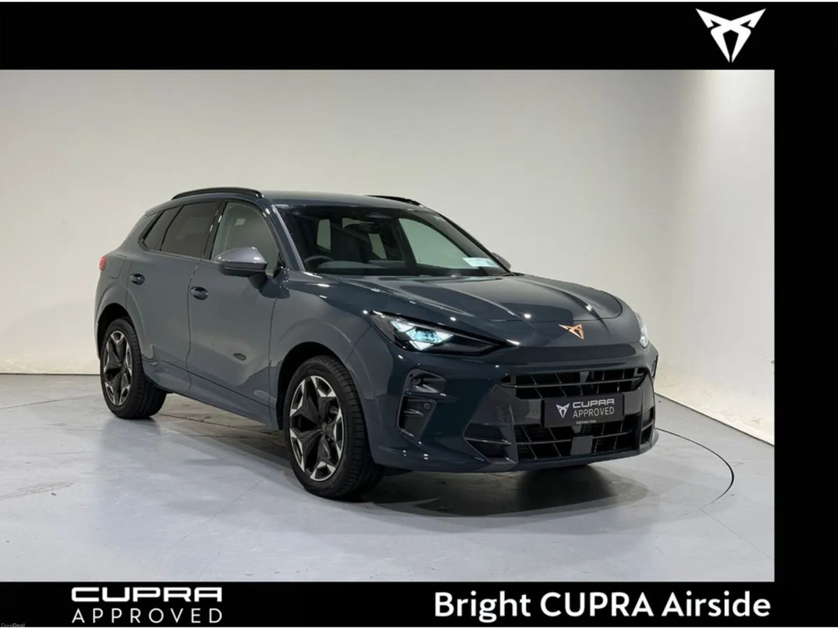 Cupra Terramar VZ 2.0 TSI 265HP DSG 4 - Image 1