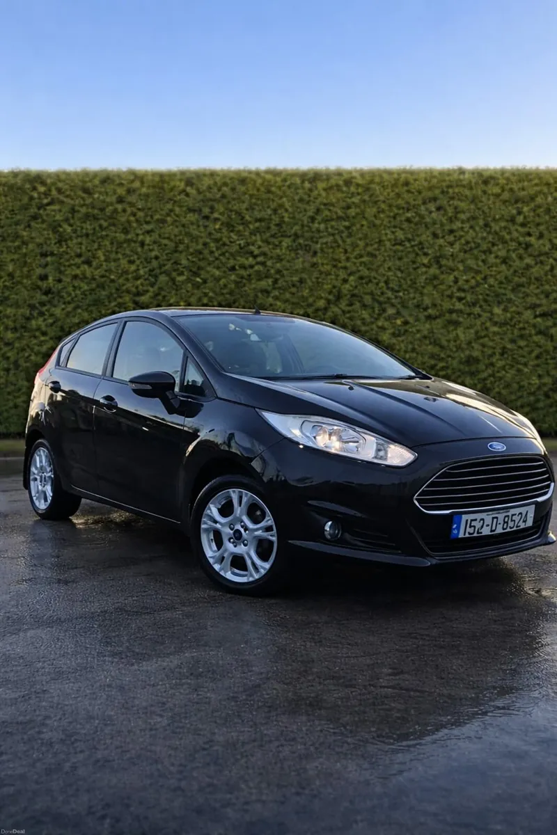 Fiesta 1.25 - Image 1