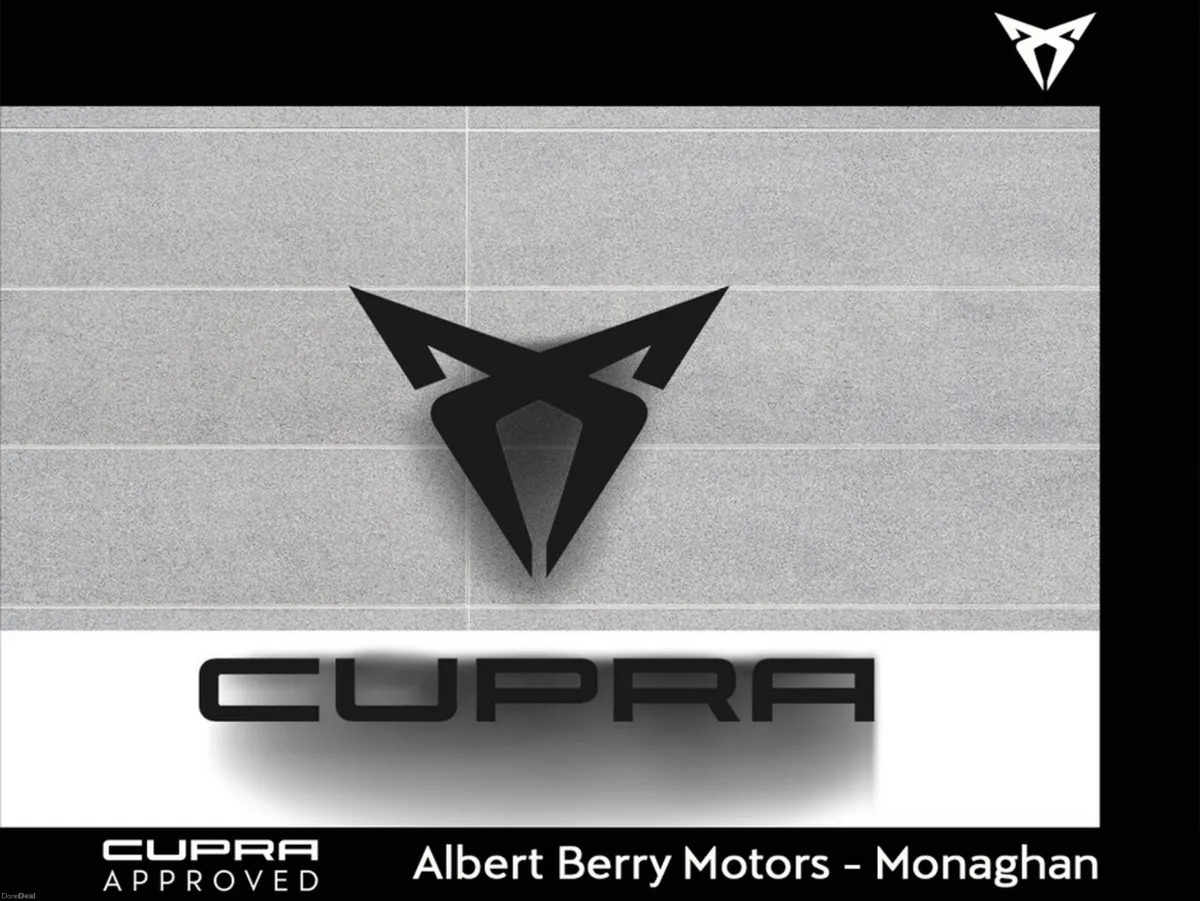 Cupra Tavascan ENDURANCE 286HP 4 - Image 4