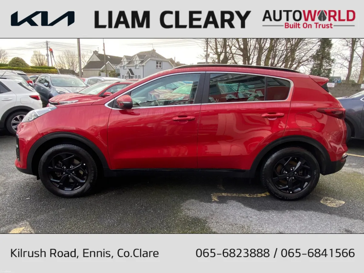 Kia Sportage K3 MHEV SPEC SPECIAL ED 5DR - Image 6