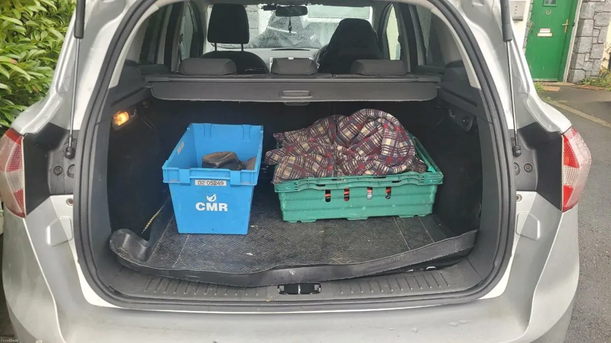 2010 Ford Kuga - Image 4