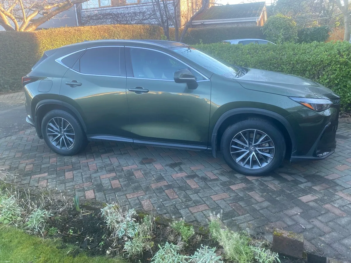 Lexus nx450h+ plug-in hybred - Image 1