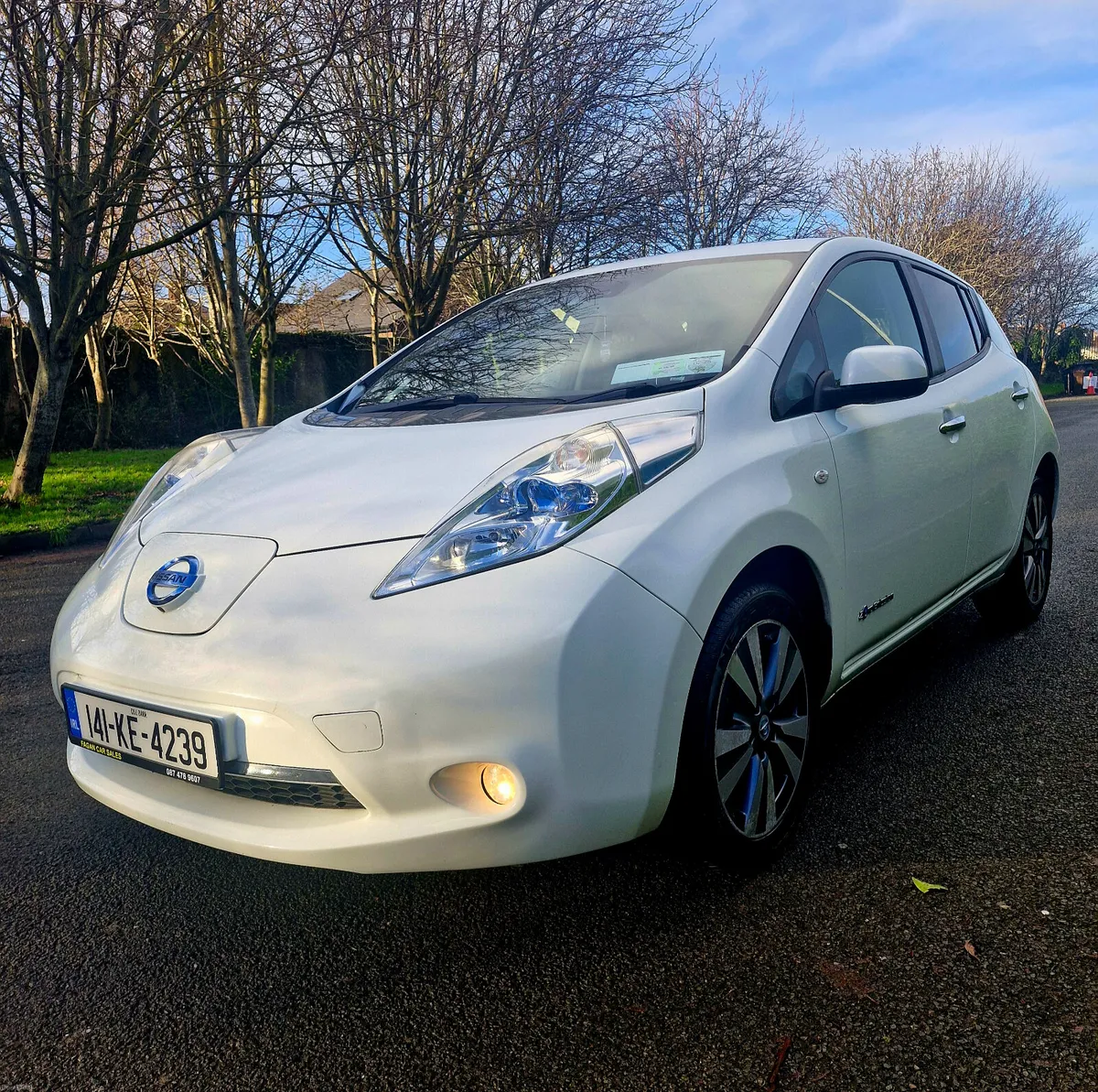 Nissan Leaf 2014 ( TOP SPEC ) - Image 1