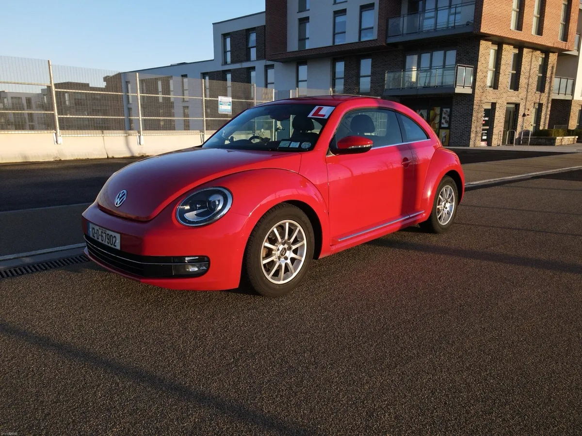 Beetle - Image 1