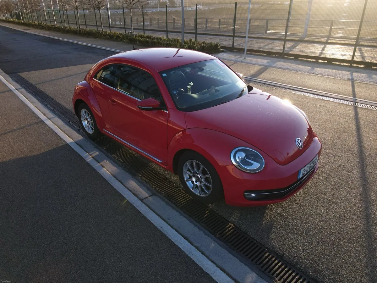 Beetle - Image 3