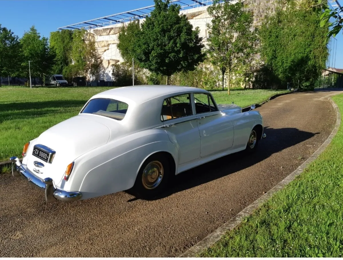 Bentley - Image 5