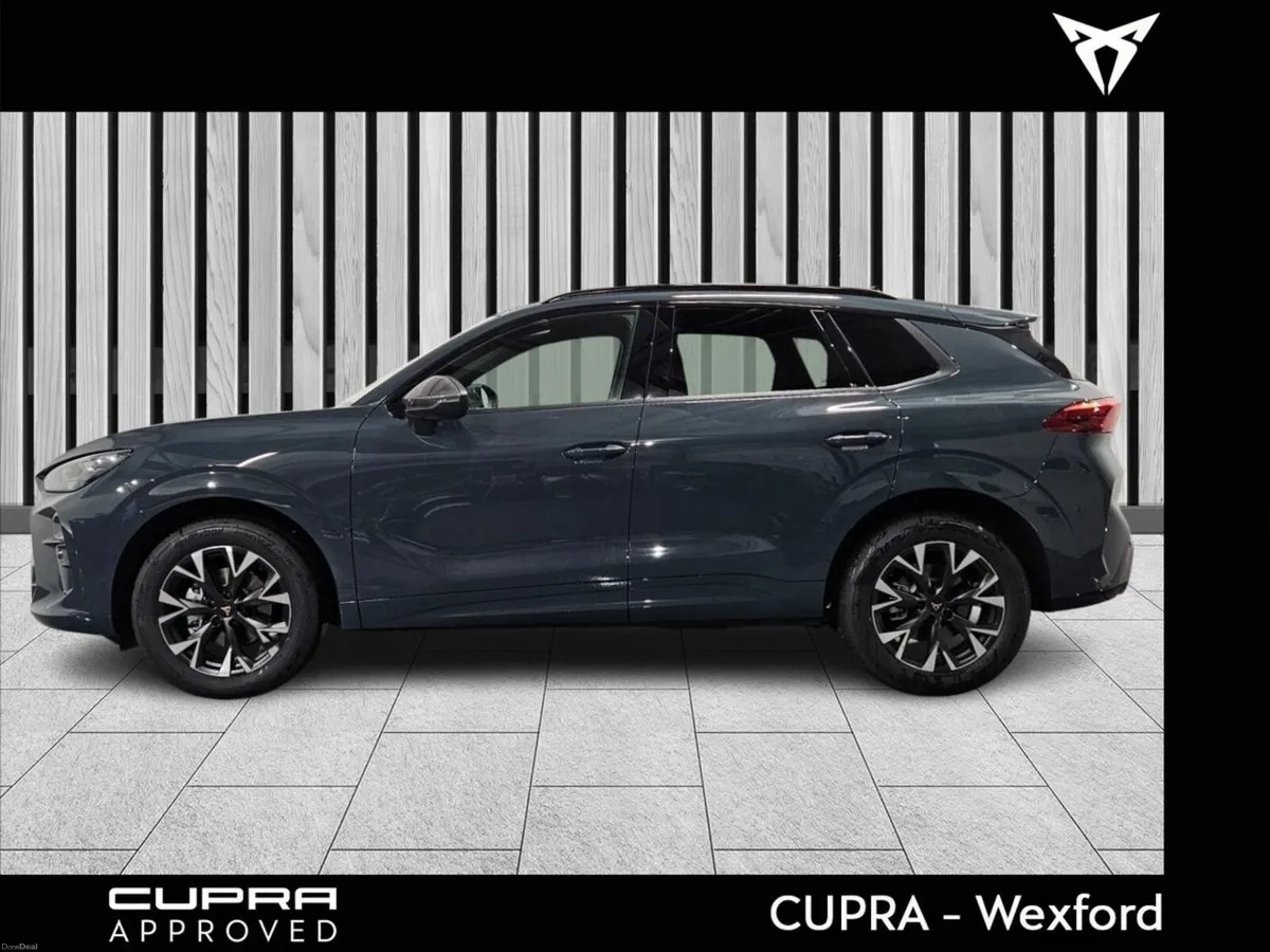 Cupra Terramar 1.5eTSI 150HP DSG - Image 4