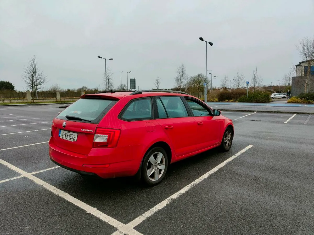 Estate Skoda Octavia new test - Image 3