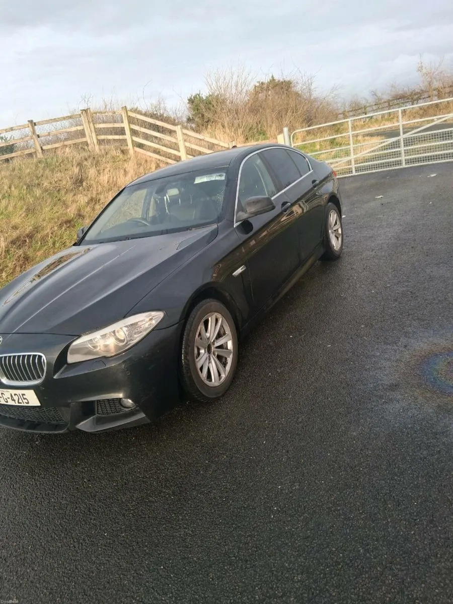 BMW 520d - Image 2
