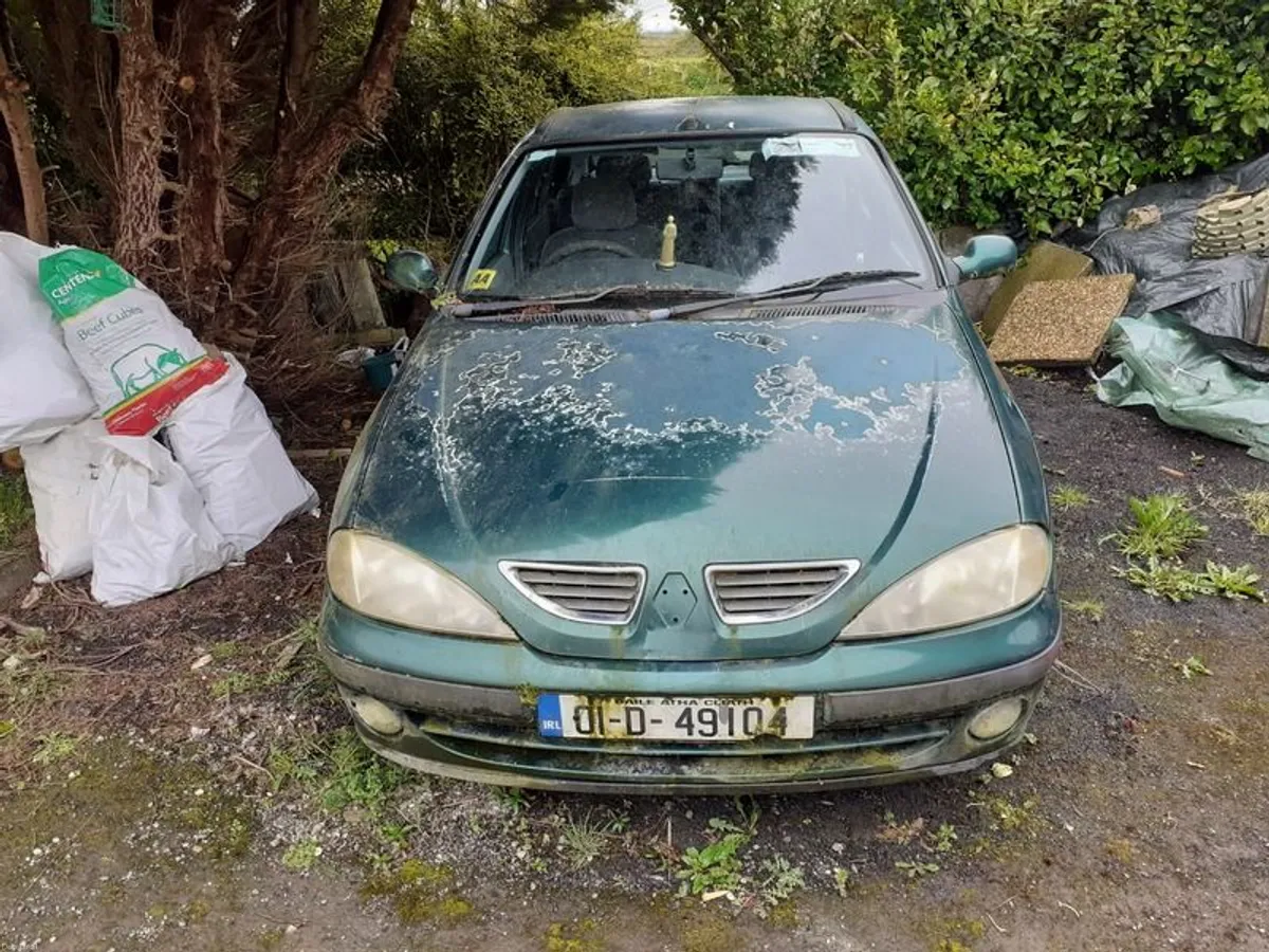 2001 Renault Megane - Image 1