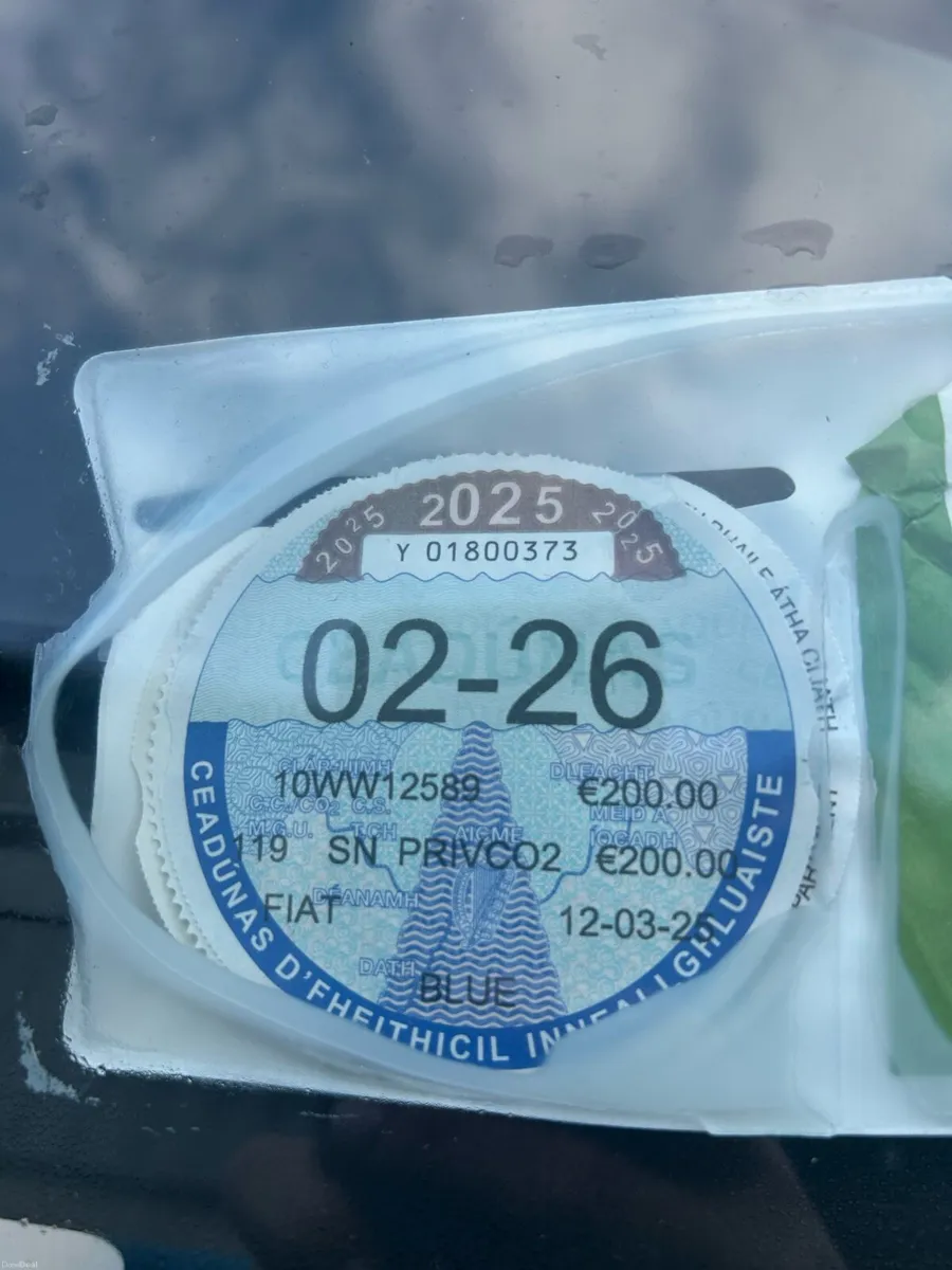 Beautiful Fiat - Rare Blue - Image 4