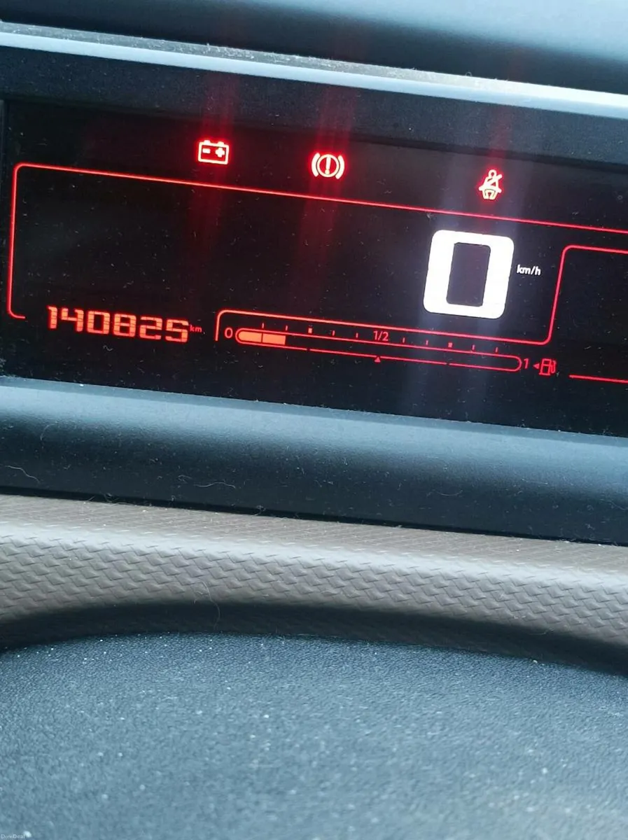 161 CACTUS C 4 FLAIR - Image 2