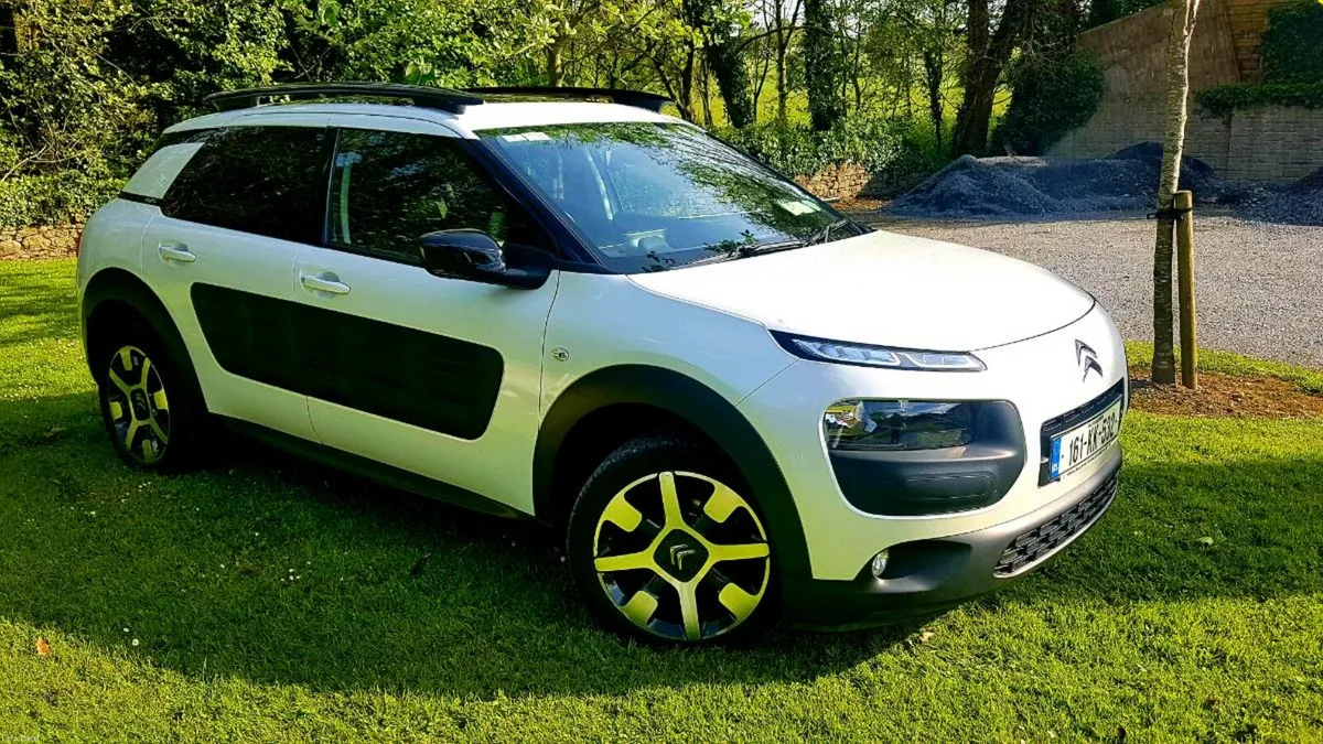 161 CACTUS C 4 FLAIR - Image 1