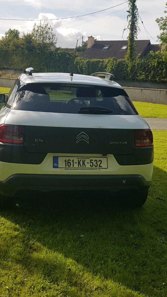 161 CACTUS C 4 FLAIR - Image 4