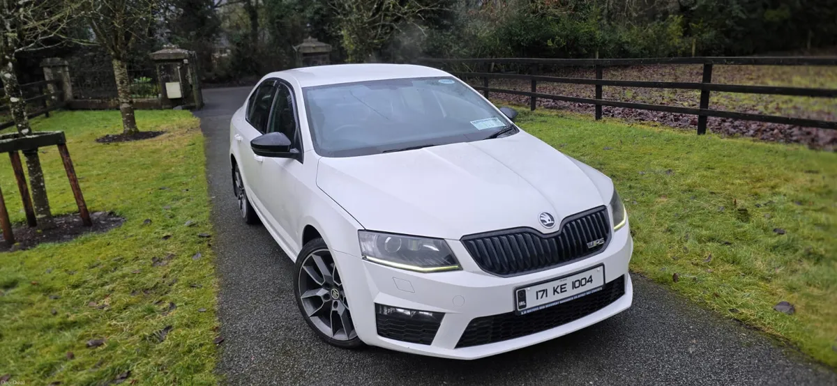 2017 Skoda Octavia RS 2.0 TDI 184 HP - Image 1