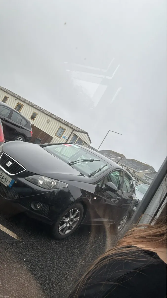 Seat Ibiza - Image 1