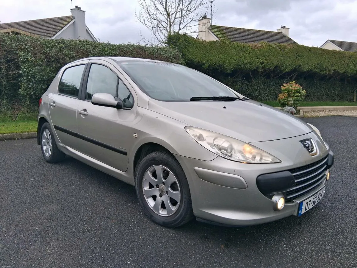 07 Peugeot 307 - Image 1