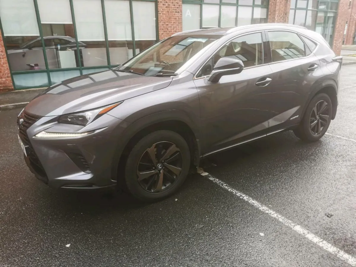 2018 LEXUS NX300H - Image 2
