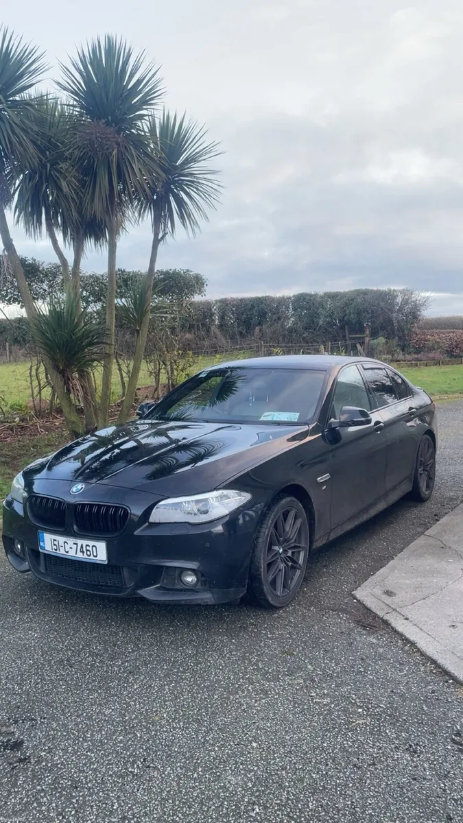 BMW 518d M sport - Image 1