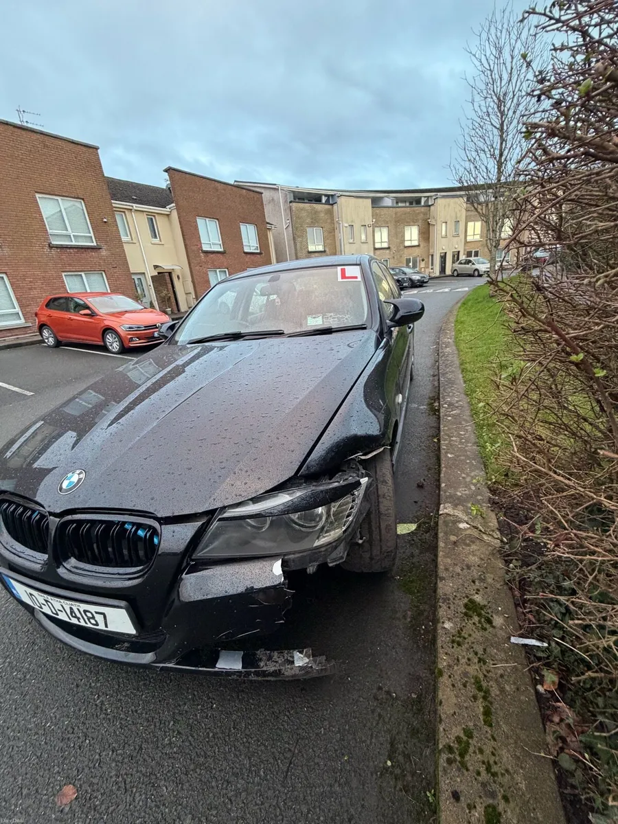 BMW 318i series 3 2010 - Image 2