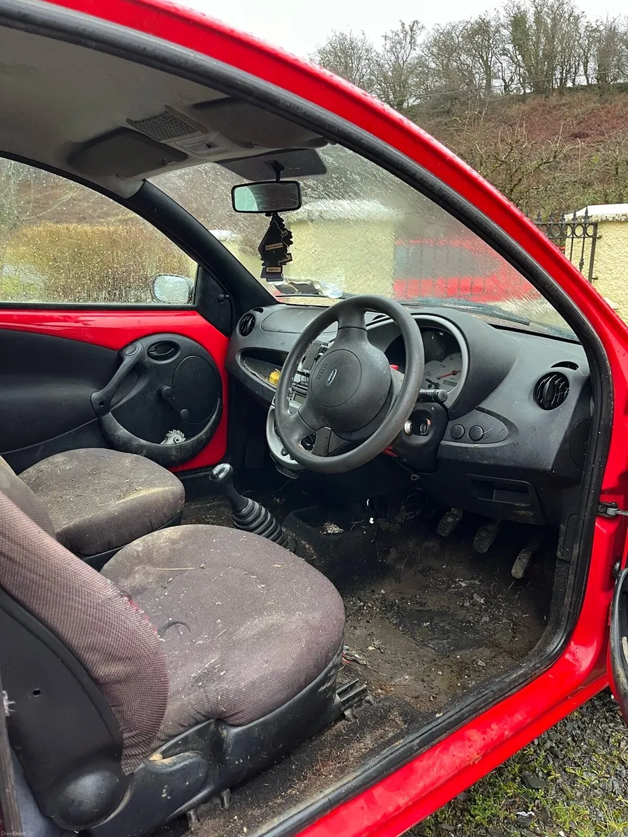 eyJidWNrZXQiOiJkb25lZGVhbC5pZS1waG90b3Mi