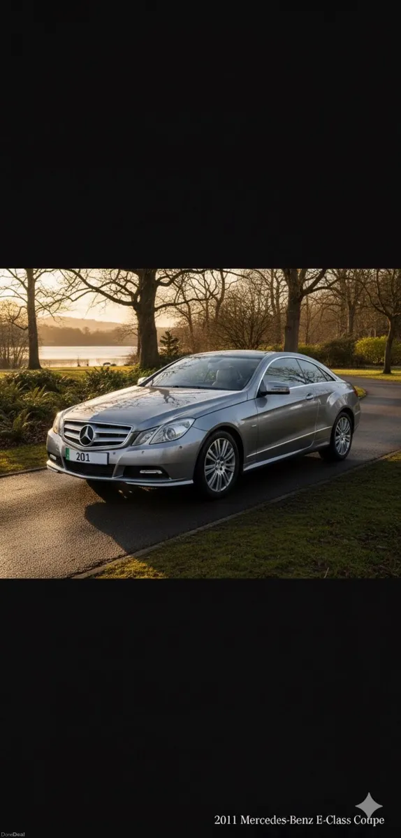 Mercedes Benz E220 CDI