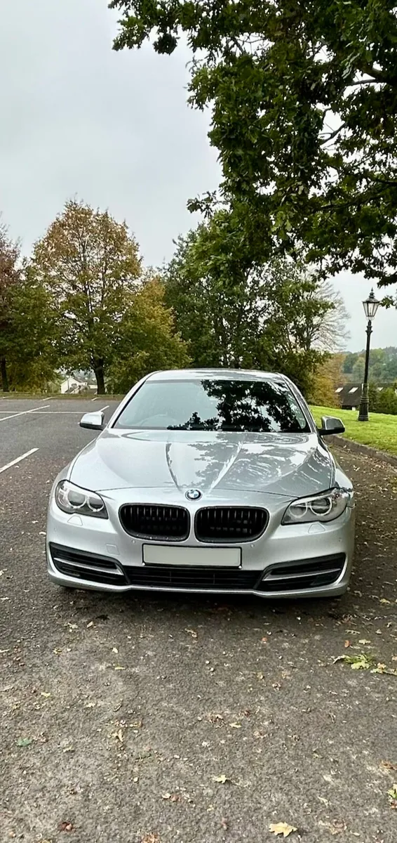 BMW 5 Series 520D SE AUTO - Image 4