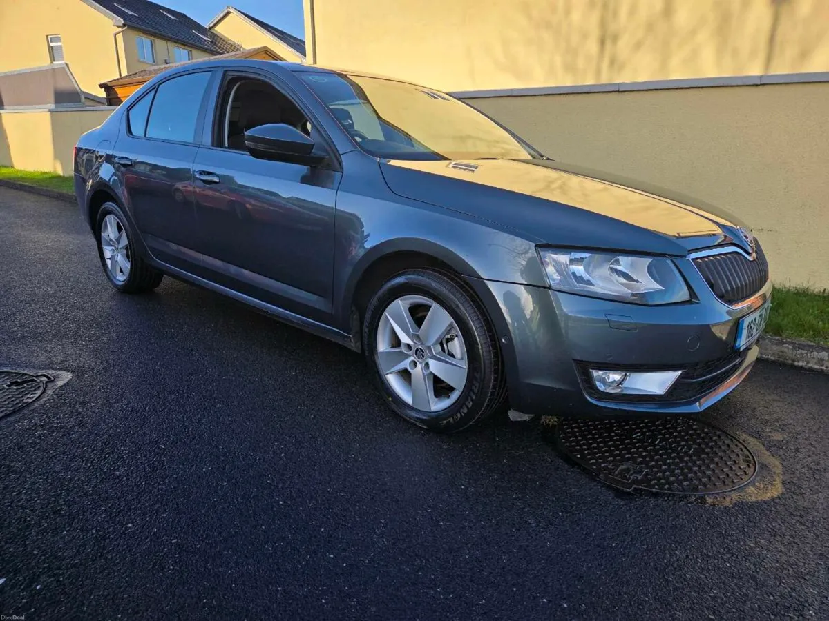 162 Octavia 2L 2Yr NCT - Image 4