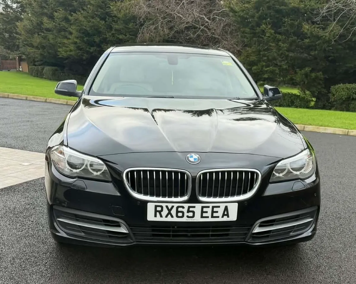 2015 BMW 520d SE 190 - Image 4