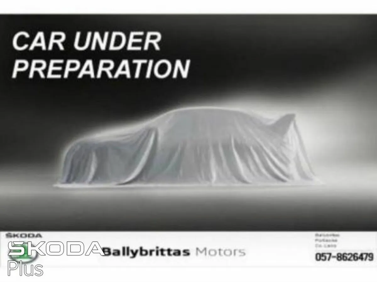 Skoda Kamiq Ambition 1.0TSI 110HP - Image 2