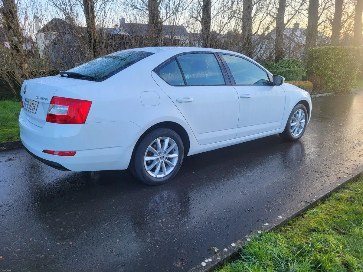 Skoda Octavia low kms  mint condition - Image 2