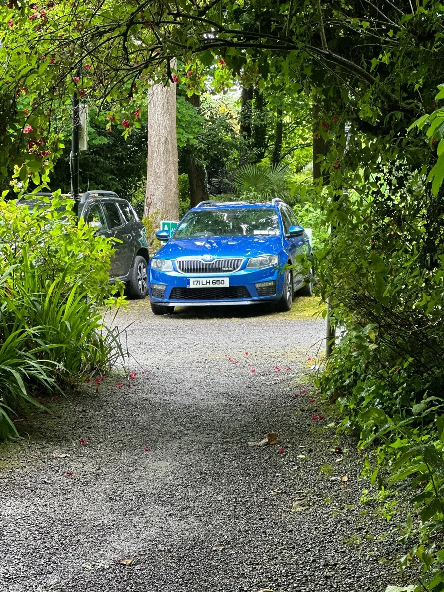 Skoda Octavia 2017 - Image 3