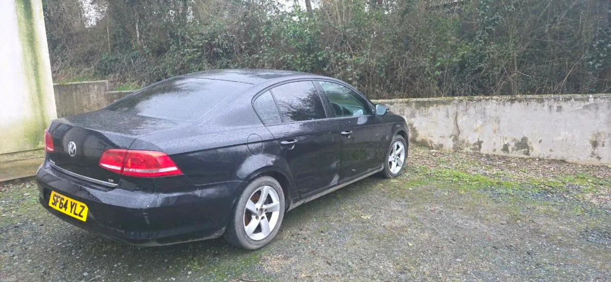 Volkswagen Passat - Image 2